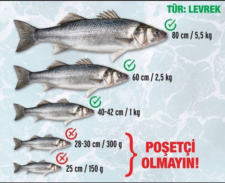 Geleceğimiz için Doğru avcılık yapın.